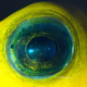 Illustration for article titled The eyes of animals look a lot like alien worlds
